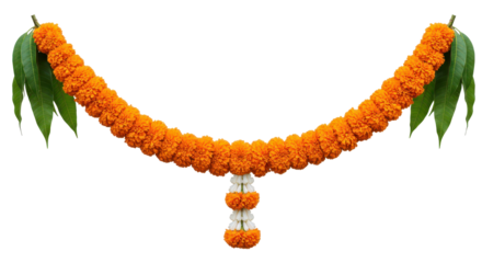 Marigold Garland's Floral Embrace: A vibrant marigold garland adorned with leaves, gracefully suspended against a clean background, representing beauty and cultural significance.