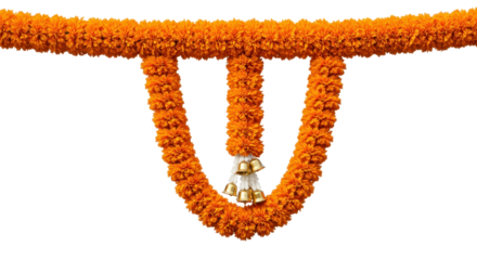 Marigold Garland: A vibrant marigold garland, a symbol of festivity and tradition, graces a scene with its rich orange hue, exuding warmth and cultural significance. 