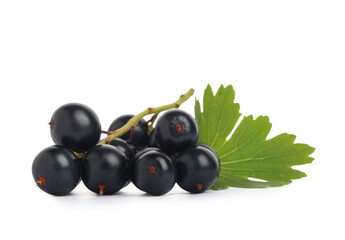 Fresh black currants with leaf on white background