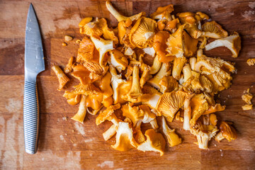 Freshly chopped chanterelle mushrooms on wooden cutting board with kitchen knife