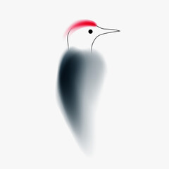 Woodpecker character design. Creative minimal art composition with gradient blurred and line elements. Modern abstract fashion vector illustration bird.