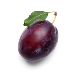 Fresh ripe plum on white background