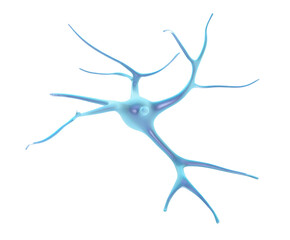 Blue Neuron Cell With Branching Dendrites And Axon nerve brain isolated on a transparent background