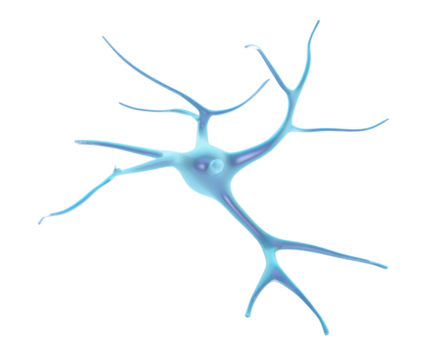 Blue Neuron Cell With Branching Dendrites And Axon nerve brain isolated on a transparent background