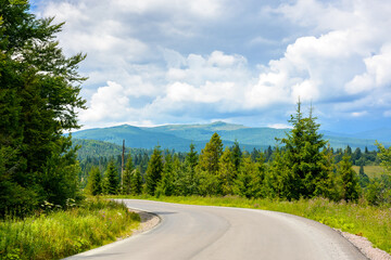 Fototapeta premium modern alpine road through fir forest. trip to carpathian mountains in summer. lviv region of ukraine