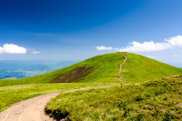 Fototapeta premium mountain trail to the top of the summit. summer travel landscape under deep blue sky with fluffy clouds. sunny weather. borzhava ridge of transcarpathia, ukraine