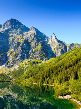 alpine landscape with lake in summer. beautiful poland nature in high tatra mountains for travel. blue sky. scenery reflection in transparent pond water