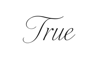 True thin line calligraphy minimal confident strokes none none clean white background vector look high contrast.