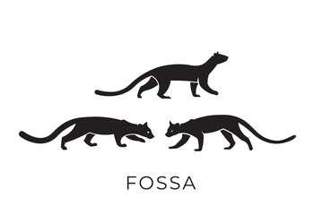 Fossa silhouette logo, fossa vector illustration logo