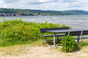 A beautiful and scenic waterfront picnic area featuring a comfy bench surrounded by lush vegetation