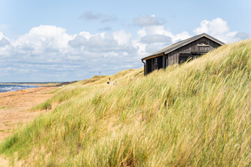 Experience a Serene Beachside Retreat Skillfully Nestled Amidst Lush Dune Grass and Scenic Views