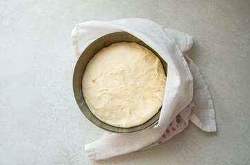 Rising Yeast Dough in Metal Bowl Overhead