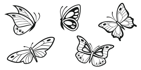 butterfly-wing-spread-icons-set---6-minimalist-ico