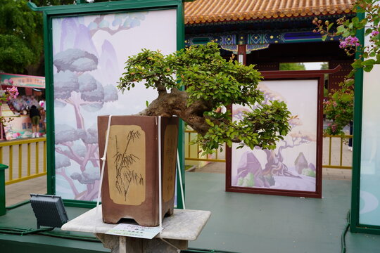 China - The Forbidden City (Beijing)