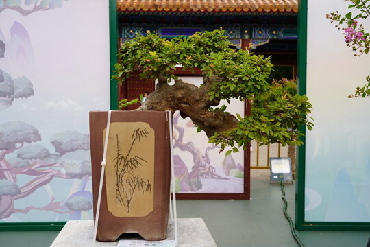 China - The Forbidden City (Beijing)