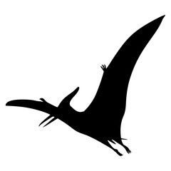 Silhouette of a Pterodactyl in Flight © Kuldi