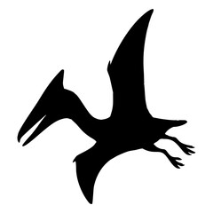 Silhouette of a Pterodactyl in Flight