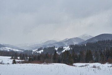 Fototapeta premium Vast winter landscape of rolling hills covered in snow.