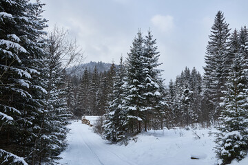 Snowy country road leading through a winter mountain landscape.