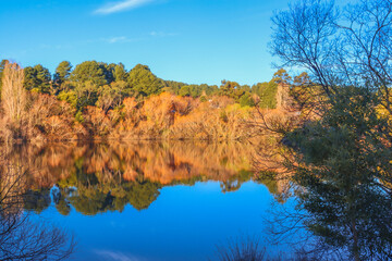 reflection of trees on daylesford lake