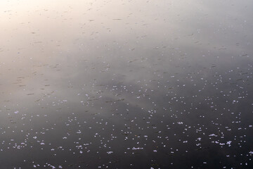 Water surface in the moat at Goryokaku Park