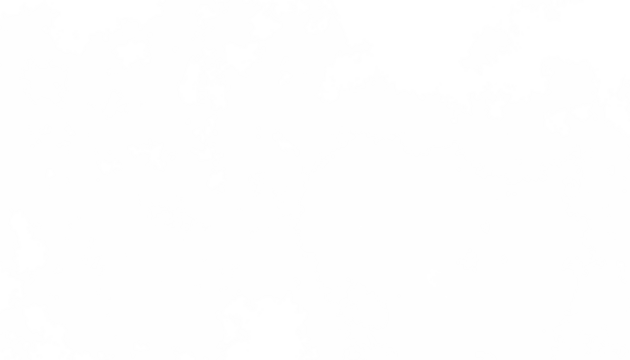 Realistic white clouds fog overlay isolated on the transparent background