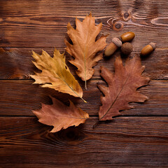 Obraz premium Flat lay of autumn leaves and acorns on rustic wooden table, minimal composition, isolated background, copy space