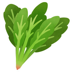 ほうれん草のイラスト
