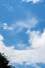 秋の空　穏やかな青空と雲39