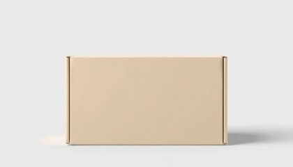 Minimalist Empty Cardboard Box with Plain Design