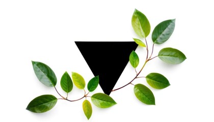 Minimalist Green Leaf Branch and Black Triangle Design