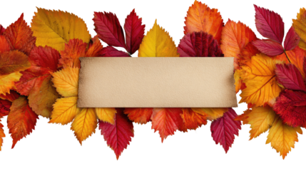 Decorative autumn border made of colorful fall leaves seasonal frame foliage ornament isolated on white background
