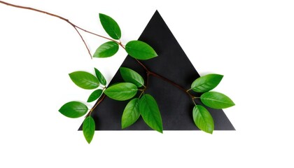 Minimalist Nature-Inspired Black Triangle with Green Leaves