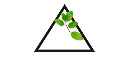 Minimalist Triangle with Fresh Green Leaves Design