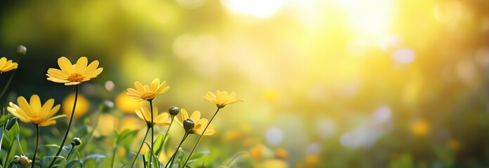 Obraz premium Yellow Flowers Bloom in a Bright Spring Garden Under Soft Sunlight