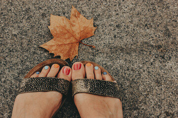 Autumnal Women's Feet and Leaf. A person's feet in sandals with colorful painted toenails are next to a fallen maple leaf on textured surface. A dry autumnal leaf lies on the ground in an autumn park.
