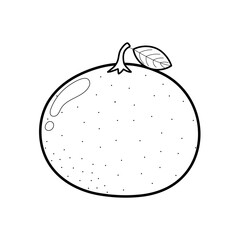 Mandarin in outline isolated on white background. Black and white fruit clipart. Healthy food. Great for coloring page. Vector illustration