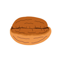 Half peeled pecan nut isolated on white background. Healthy food clipart in cartoon style. Vector illustration
