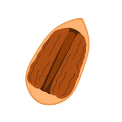 Half of pecan in nutshell isolated on white background. Doodle cracked nut in cartoon style. Healthy food clipart. Vector illustration