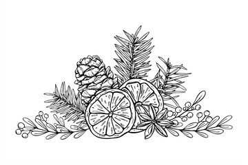 Christmas decoration vector isolated illustration. Dried orange slice, star anise, berry plant, spruce branch, pinecone outline engraving line art. Winter graphic sketch for Xmas packaging, invitation © Masha_tolk_art