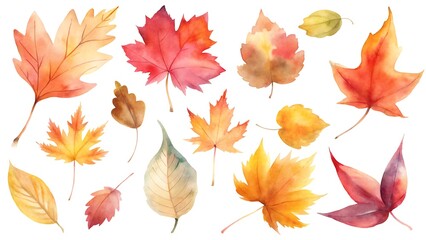 Obraz premium Collection of autumn leaves in vibrant watercolor style, isolated on white background