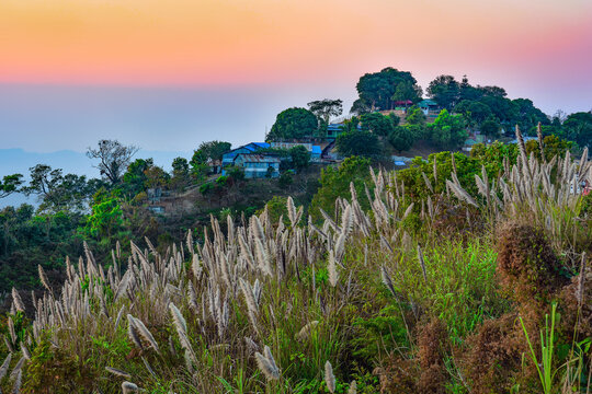 Sajek, Bangladesh - 26 January 2019: View of a tranquil hilltop village nestled amidst lush greenery, kissed by the soft hues of the setting sun.