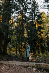 Fototapeta premium A woman is leisurely walking her dog through the peaceful woods