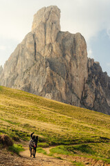 happy black dog walking in the mountains