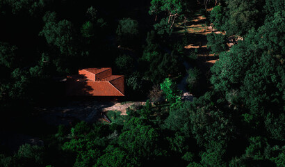a house with an orange roof in the middle of the forest