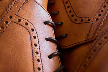 Elegant leather shoes showcasing detailed craftsmanship