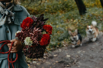 A woman holds a bouquet of flowers with two dogs behind her