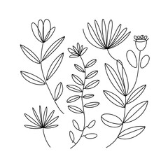 Elegant Floral Line Art Collection Featuring Various Flower and Leaf Designs on a White Background, Ideal for Botanical Illustrations