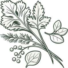 Hand-drawn chalk style icon of peas, spinach, and coriander, rough sketch look.