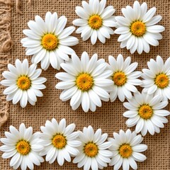 Obraz premium Vibrant Daisy Pattern Fabric Background